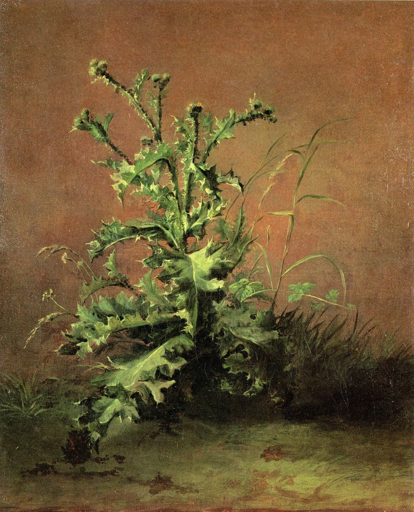 douard Manet - Chardons - (